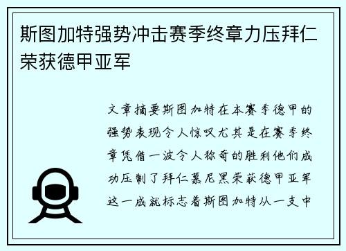 斯图加特强势冲击赛季终章力压拜仁荣获德甲亚军